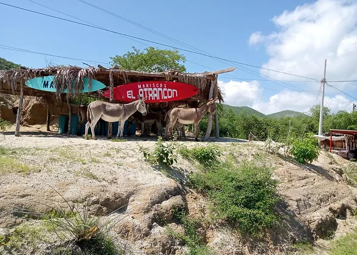 Hacienda De Palmas